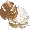 Image Not Available